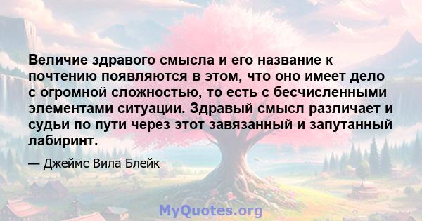 Величие здравого смысла и его название к почтению появляются в этом, что оно имеет дело с огромной сложностью, то есть с бесчисленными элементами ситуации. Здравый смысл различает и судьи по пути через этот завязанный и 