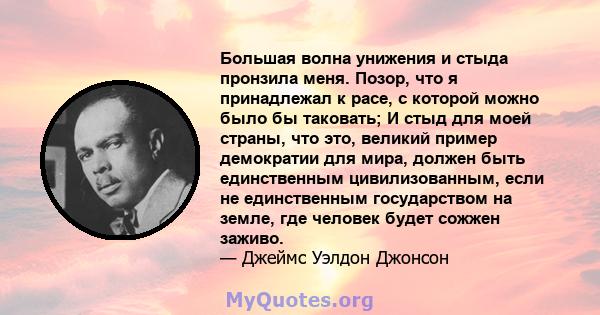 Большая волна унижения и стыда пронзила меня. Позор, что я принадлежал к расе, с которой можно было бы таковать; И стыд для моей страны, что это, великий пример демократии для мира, должен быть единственным