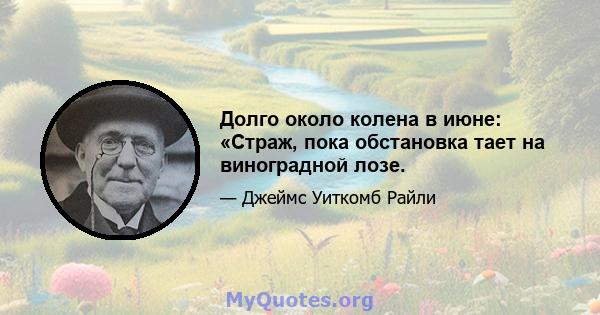 Долго около колена в июне: «Страж, пока обстановка тает на виноградной лозе.