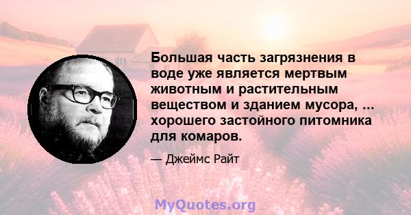 Большая часть загрязнения в воде уже является мертвым животным и растительным веществом и зданием мусора, ... хорошего застойного питомника для комаров.