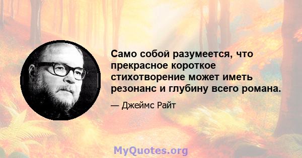 Само собой разумеется, что прекрасное короткое стихотворение может иметь резонанс и глубину всего романа.