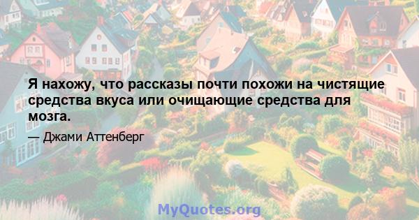 Я нахожу, что рассказы почти похожи на чистящие средства вкуса или очищающие средства для мозга.