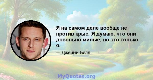 Я на самом деле вообще не против крыс. Я думаю, что они довольно милые, но это только я.