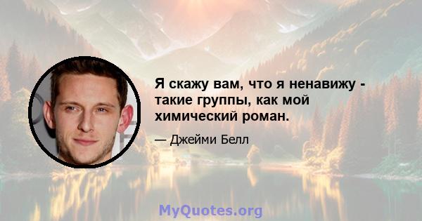 Я скажу вам, что я ненавижу - такие группы, как мой химический роман.