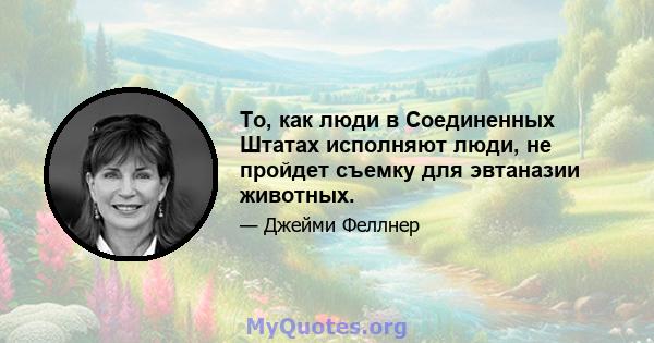 То, как люди в Соединенных Штатах исполняют люди, не пройдет съемку для эвтаназии животных.