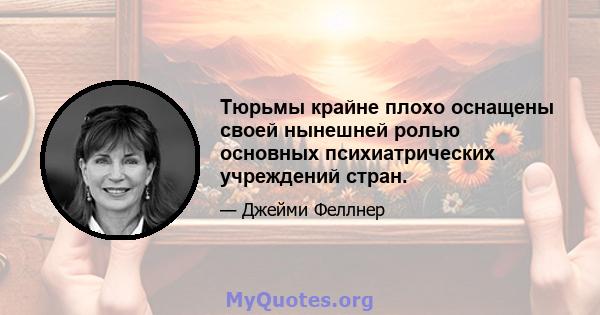 Тюрьмы крайне плохо оснащены своей нынешней ролью основных психиатрических учреждений стран.