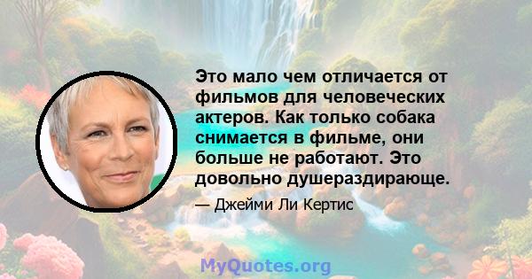 Это мало чем отличается от фильмов для человеческих актеров. Как только собака снимается в фильме, они больше не работают. Это довольно душераздирающе.