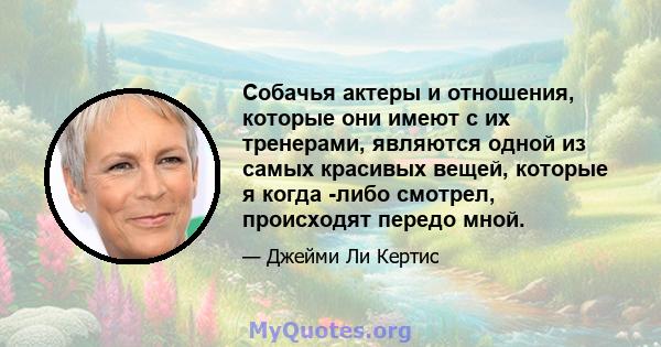 Собачья актеры и отношения, которые они имеют с их тренерами, являются одной из самых красивых вещей, которые я когда -либо смотрел, происходят передо мной.