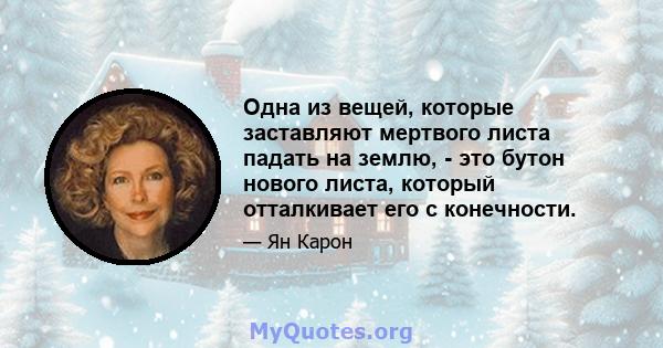 Одна из вещей, которые заставляют мертвого листа падать на землю, - это бутон нового листа, который отталкивает его с конечности.