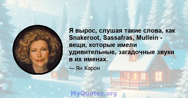 Я вырос, слушая такие слова, как Snakeroot, Sassafras, Mullein - вещи, которые имели удивительные, загадочные звуки в их именах.