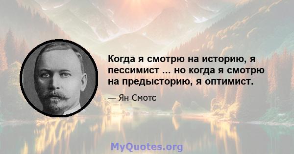 Когда я смотрю на историю, я пессимист ... но когда я смотрю на предысторию, я оптимист.