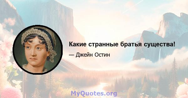 Какие странные братья существа!