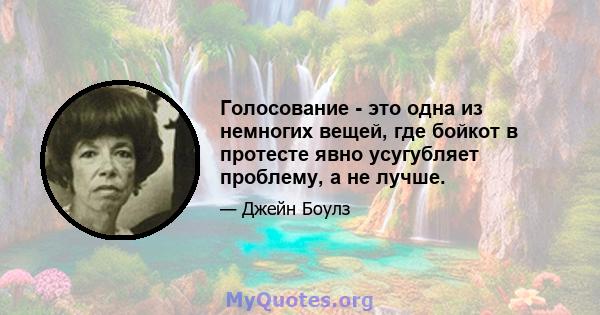 Голосование - это одна из немногих вещей, где бойкот в протесте явно усугубляет проблему, а не лучше.