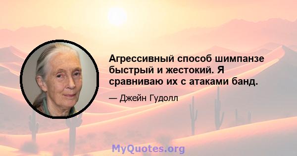 Агрессивный способ шимпанзе быстрый и жестокий. Я сравниваю их с атаками банд.