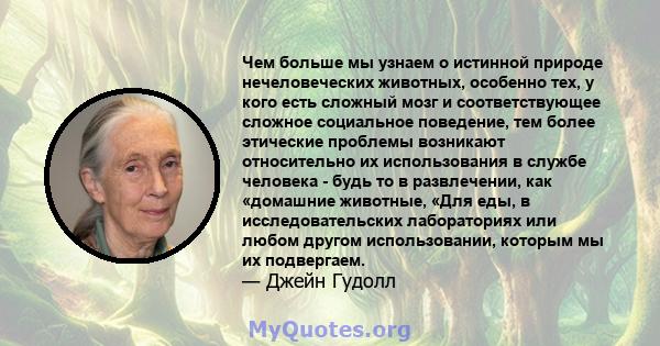 Чем больше мы узнаем о истинной природе нечеловеческих животных, особенно тех, у кого есть сложный мозг и соответствующее сложное социальное поведение, тем более этические проблемы возникают относительно их