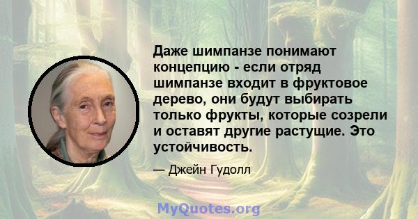 Даже шимпанзе понимают концепцию - если отряд шимпанзе входит в фруктовое дерево, они будут выбирать только фрукты, которые созрели и оставят другие растущие. Это устойчивость.