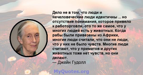 Дело не в том, что люди и нечеловеческие люди идентичны ... но отсутствие понимания, которое привело к работорговли,-это то же самое, что у многих людей есть у животных. Когда рабы были привезены из Африки, многие люди