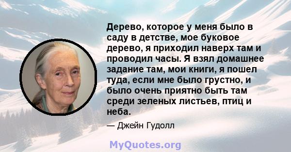 Дерево, которое у меня было в саду в детстве, мое буковое дерево, я приходил наверх там и проводил часы. Я взял домашнее задание там, мои книги, я пошел туда, если мне было грустно, и было очень приятно быть там среди