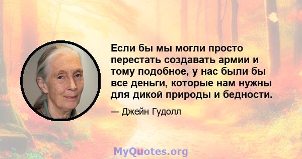 Если бы мы могли просто перестать создавать армии и тому подобное, у нас были бы все деньги, которые нам нужны для дикой природы и бедности.