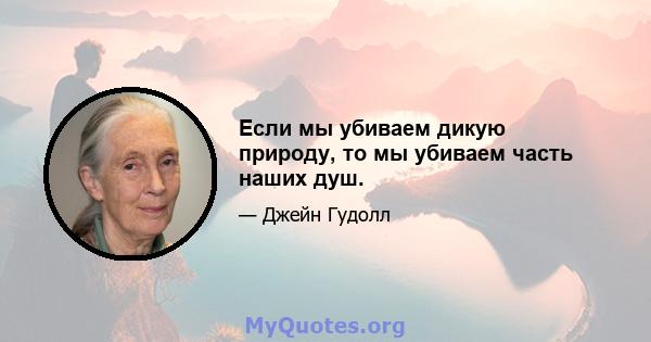 Если мы убиваем дикую природу, то мы убиваем часть наших душ.