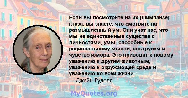 Если вы посмотрите на их [шимпанзе] глаза, вы знаете, что смотрите на размышленный ум. Они учат нас, что мы не единственные существа с личностями, умы, способные к рациональному мысли, альтруизм и чувство юмора. Это