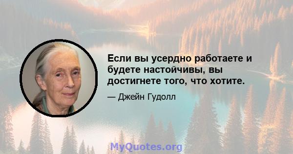 Если вы усердно работаете и будете настойчивы, вы достигнете того, что хотите.