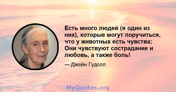 Есть много людей (я один из них), которые могут поручиться, что у животных есть чувства; Они чувствуют сострадание и любовь, а также боль!