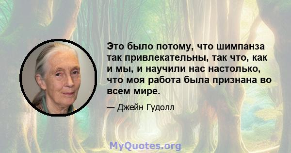 Это было потому, что шимпанза так привлекательны, так что, как и мы, и научили нас настолько, что моя работа была признана во всем мире.