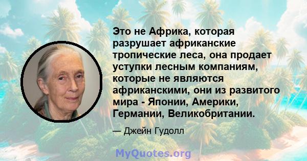 Это не Африка, которая разрушает африканские тропические леса, она продает уступки лесным компаниям, которые не являются африканскими, они из развитого мира - Японии, Америки, Германии, Великобритании.