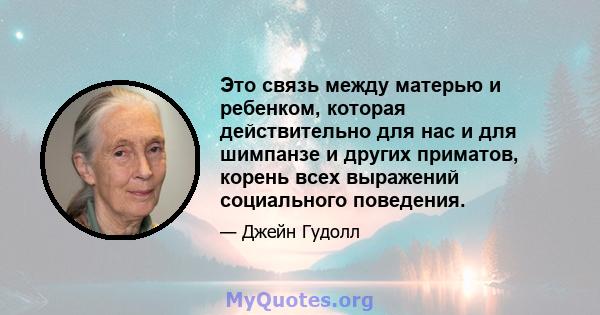 Это связь между матерью и ребенком, которая действительно для нас и для шимпанзе и других приматов, корень всех выражений социального поведения.