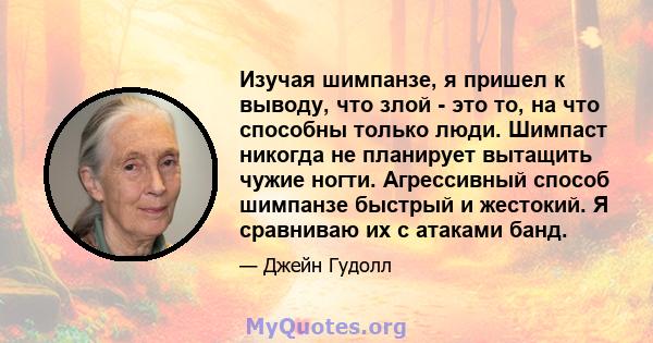 Изучая шимпанзе, я пришел к выводу, что злой - это то, на что способны только люди. Шимпаст никогда не планирует вытащить чужие ногти. Агрессивный способ шимпанзе быстрый и жестокий. Я сравниваю их с атаками банд.