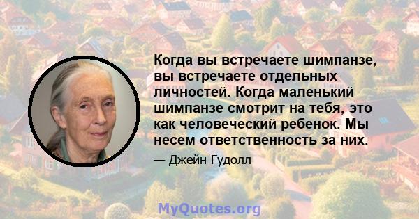 Когда вы встречаете шимпанзе, вы встречаете отдельных личностей. Когда маленький шимпанзе смотрит на тебя, это как человеческий ребенок. Мы несем ответственность за них.