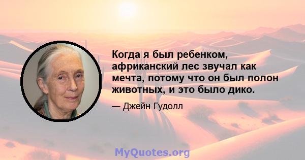 Когда я был ребенком, африканский лес звучал как мечта, потому что он был полон животных, и это было дико.