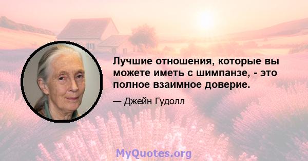 Лучшие отношения, которые вы можете иметь с шимпанзе, - это полное взаимное доверие.