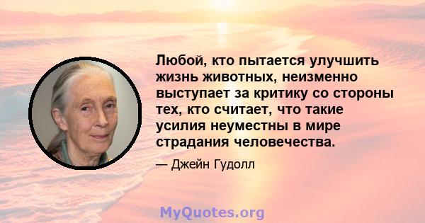 Любой, кто пытается улучшить жизнь животных, неизменно выступает за критику со стороны тех, кто считает, что такие усилия неуместны в мире страдания человечества.