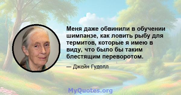 Меня даже обвинили в обучении шимпанзе, как ловить рыбу для термитов, которые я имею в виду, что было бы таким блестящим переворотом.