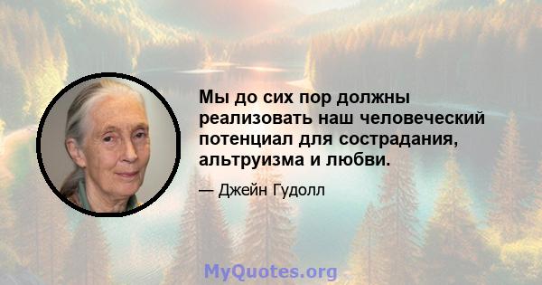 Мы до сих пор должны реализовать наш человеческий потенциал для сострадания, альтруизма и любви.