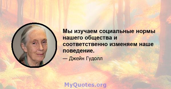 Мы изучаем социальные нормы нашего общества и соответственно изменяем наше поведение.