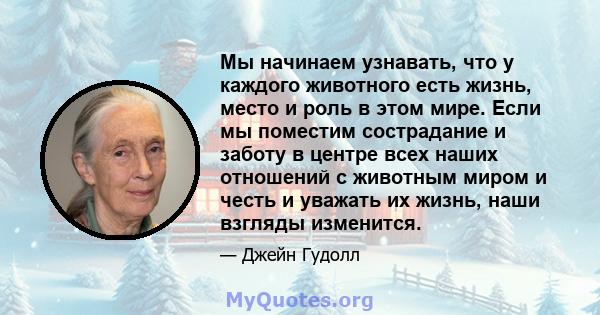 Мы начинаем узнавать, что у каждого животного есть жизнь, место и роль в этом мире. Если мы поместим сострадание и заботу в центре всех наших отношений с животным миром и честь и уважать их жизнь, наши взгляды изменится.