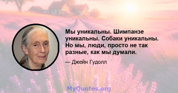 Мы уникальны. Шимпанзе уникальны. Собаки уникальны. Но мы, люди, просто не так разные, как мы думали.