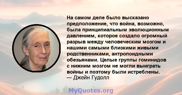 На самом деле было высказано предположение, что война, возможно, была принципиальным эволюционным давлением, которое создало огромный разрыв между человеческим мозгом и нашими самыми близкими живыми родственниками,