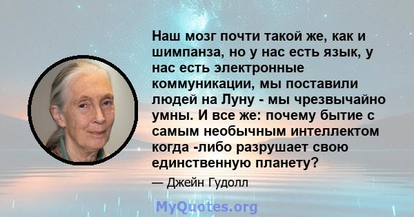 Наш мозг почти такой же, как и шимпанза, но у нас есть язык, у нас есть электронные коммуникации, мы поставили людей на Луну - мы чрезвычайно умны. И все же: почему бытие с самым необычным интеллектом когда -либо