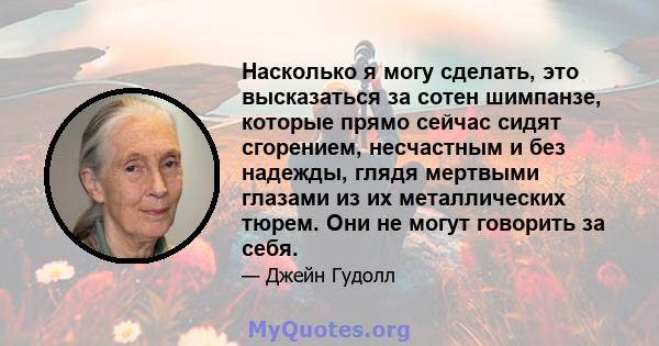 Насколько я могу сделать, это высказаться за сотен шимпанзе, которые прямо сейчас сидят сгорением, несчастным и без надежды, глядя мертвыми глазами из их металлических тюрем. Они не могут говорить за себя.