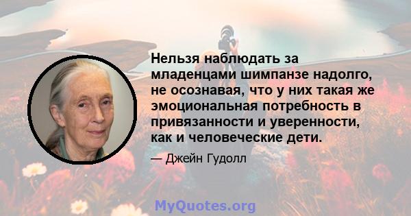 Нельзя наблюдать за младенцами шимпанзе надолго, не осознавая, что у них такая же эмоциональная потребность в привязанности и уверенности, как и человеческие дети.