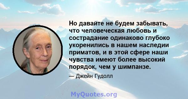 Но давайте не будем забывать, что человеческая любовь и сострадание одинаково глубоко укоренились в нашем наследии приматов, и в этой сфере наши чувства имеют более высокий порядок, чем у шимпанзе.