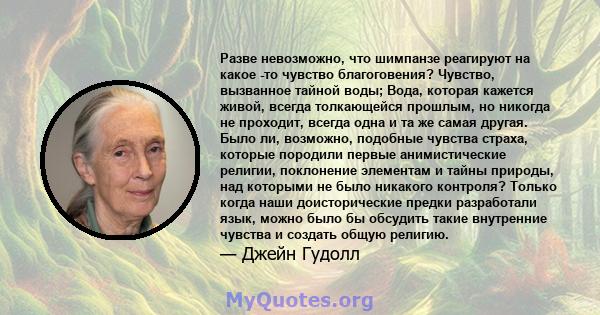 Разве невозможно, что шимпанзе реагируют на какое -то чувство благоговения? Чувство, вызванное тайной воды; Вода, которая кажется живой, всегда толкающейся прошлым, но никогда не проходит, всегда одна и та же самая