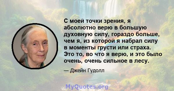 С моей точки зрения, я абсолютно верю в большую духовную силу, гораздо больше, чем я, из которой я набрал силу в моменты грусти или страха. Это то, во что я верю, и это было очень, очень сильное в лесу.