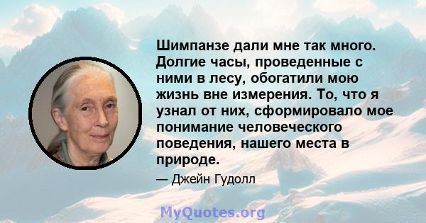 Шимпанзе дали мне так много. Долгие часы, проведенные с ними в лесу, обогатили мою жизнь вне измерения. То, что я узнал от них, сформировало мое понимание человеческого поведения, нашего места в природе.