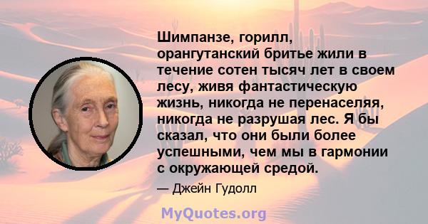 Шимпанзе, горилл, орангутанский бритье жили в течение сотен тысяч лет в своем лесу, живя фантастическую жизнь, никогда не перенаселяя, никогда не разрушая лес. Я бы сказал, что они были более успешными, чем мы в