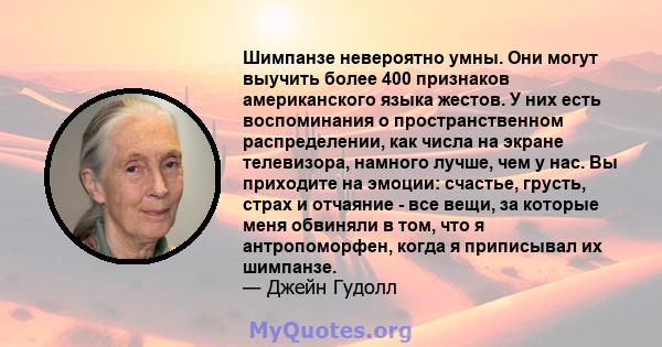 Шимпанзе невероятно умны. Они могут выучить более 400 признаков американского языка жестов. У них есть воспоминания о пространственном распределении, как числа на экране телевизора, намного лучше, чем у нас. Вы